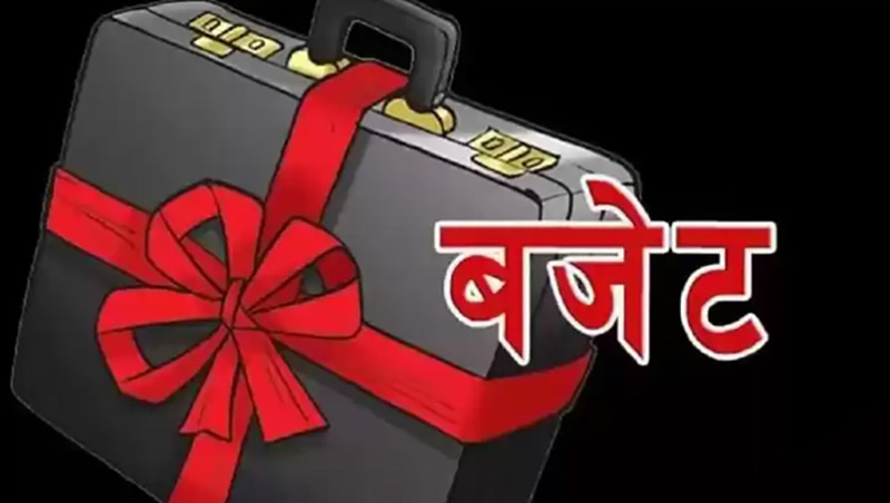 कति स्थानीय तहले ल्याए बजेट ?